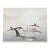 1982 Orca Serigraph For Sale