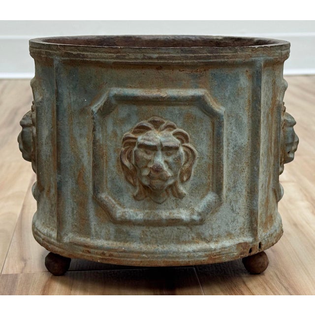 Antique cast iron planter featuring lion heads to faces and three exaggerated ball feet. Heavy weight. Hole in the bottom...