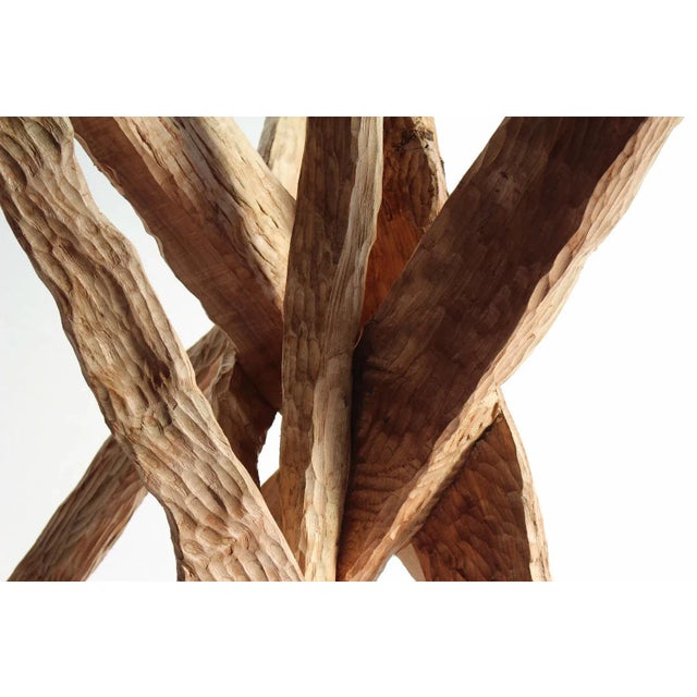 Brown Amazzonia Table by Pietro Meccani for Meccani Design For Sale - Image 8 of 13