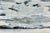 Ivory 48”x72” Large Scale Abstract Titled Now Voyager For Sale - Image 8 of 11