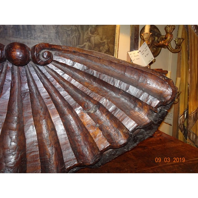 19th Century Walnut Carved Shell For Sale - Image 9 of 12