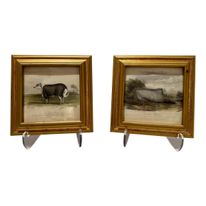 Mid 20th Century Sheep Engravings Capel Sheep Silver Royal Framed Prints - Set of 2