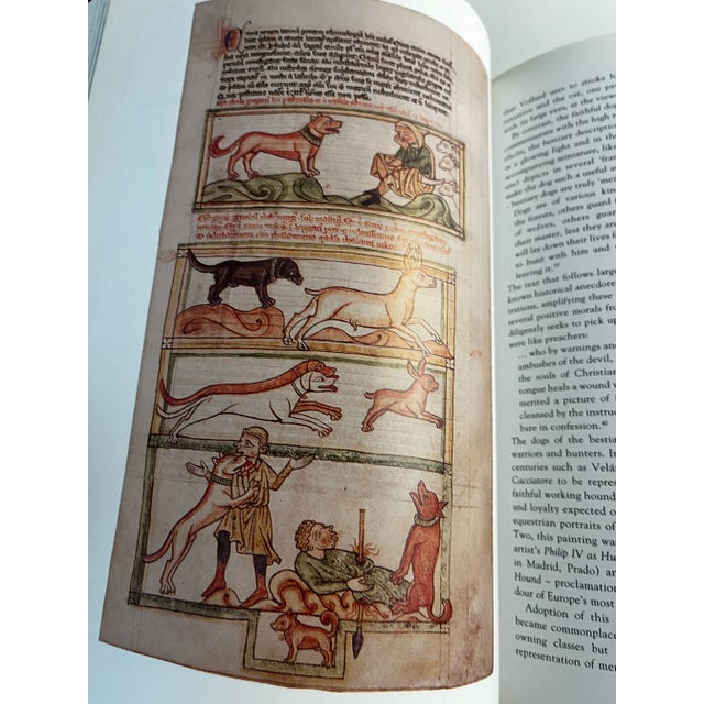 1995 A Picasso Bestiary Book For Sale - Image 11 of 12