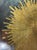2000 - 2009 Jansen Design Eglomise’ Sunburst Mirror For Sale - Image 5 of 6