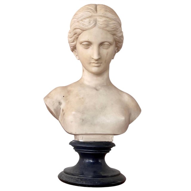 Italian Carved Marble Bust of a Young Woman For Sale - Image 10 of 16