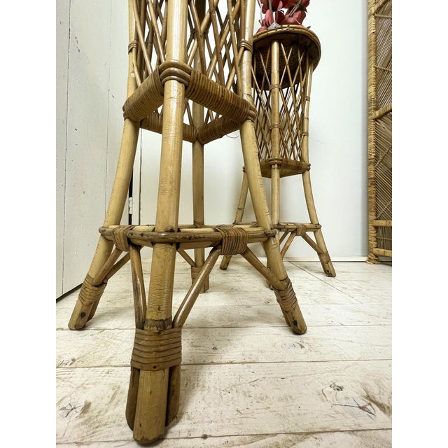 Mid-Century French Rattan and Bamboo Plant Stands, Set of 2 For Sale - Image 16 of 18