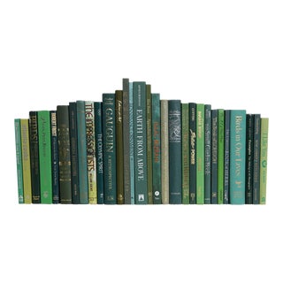 Decorative Books - Vintage Boxwood Oversized Books - Green Books By The Foot For Sale