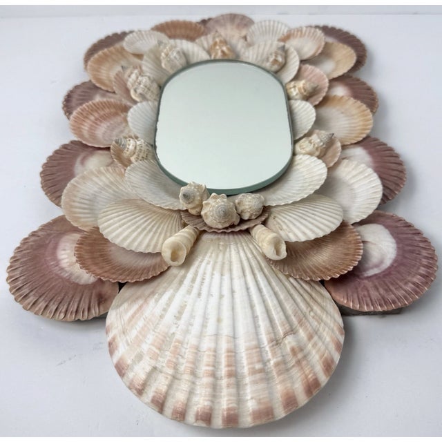 Beautiful vintage seashell mirror in pristine condition featuring layers of natural scallop and spiral shells in soft...