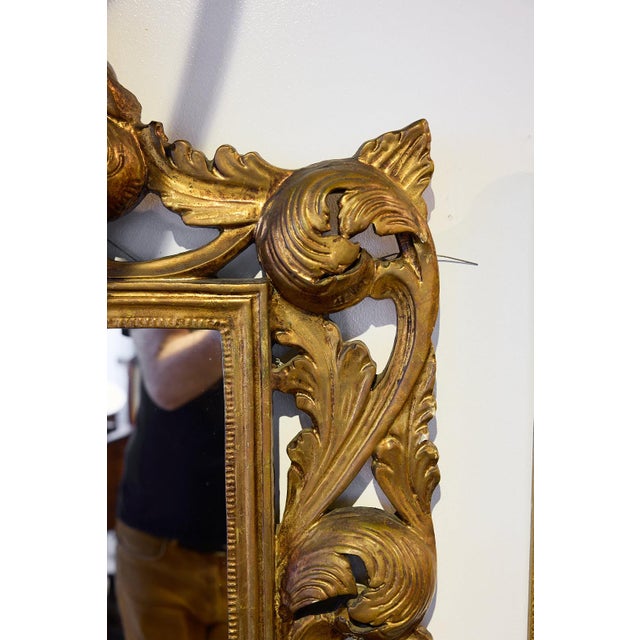 Large Italian Carved Giltwood Mirror With Shell Pediment and Acanthus Surround, c.1960 For Sale - Image 11 of 12