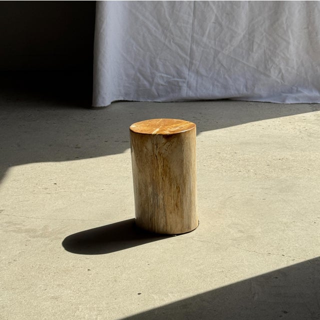 Brutalist Small Side Table in Orange Petrified Wood, 1980s For Sale - Image 3 of 18