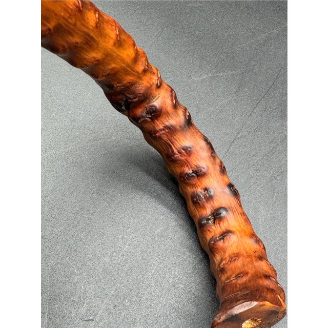 Antique Victorian Brussel Sprout Stalk Walking Stick, Sterling Silver Adornment For Sale - Image 16 of 17