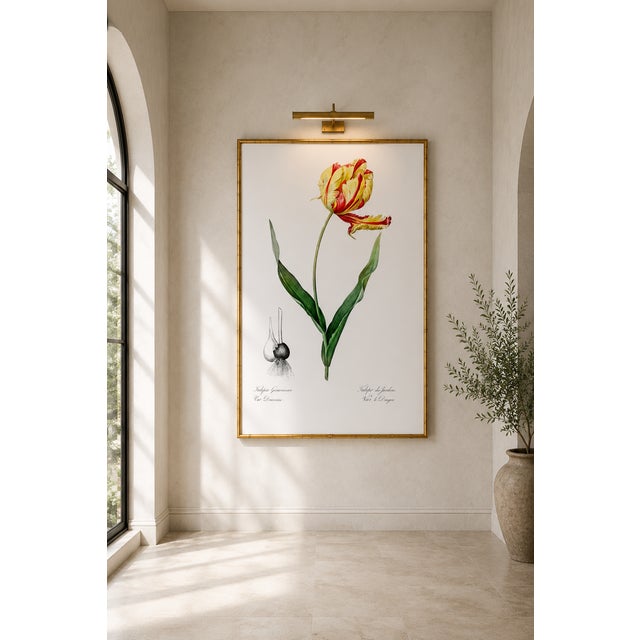 Yellow Didier's Tulip by Redouté, Vintage Botanical Art Print, 30" X 40" For Sale - Image 8 of 9