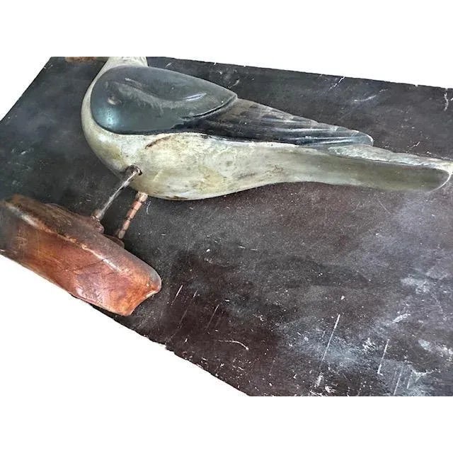 1900 American Folk Art Wood Carved Seagull on Board For Sale In Aspen - Image 6 of 9