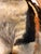 American 1990s Original Art Painted Wood Tabby Cat For Sale - Image 3 of 6