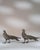 Mid 20th Century France Silver Metal Sculpture For Sale - Image 10 of 15