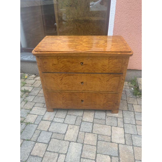 Biedermeier Chest of Drawers in Birch, 1830 For Sale - Image 15 of 16