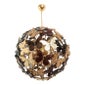 Shop Dlight Chandelier and Decor