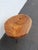 Wood Rustic Natural Live Edge Wood Tree Slice Side Small End Coffee Table 6890 For Sale - Image 7 of 17