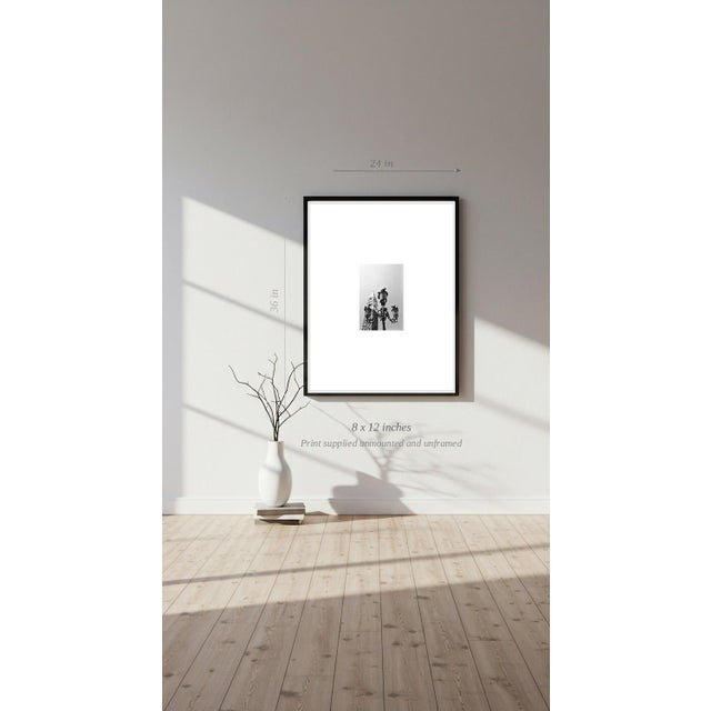 Paul Cooklin, Pigeons, Saint Marks Square, Edition of 50 For Sale - Image 6 of 7