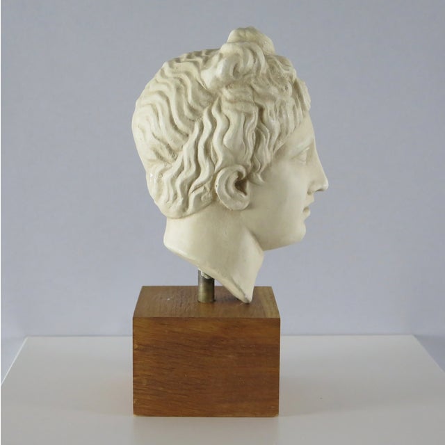 Plaster Study or Souvenir from The National Archeological Museum, Athens. Greece, circa 1960.