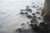 This constructed diorama captures the serene beauty of a western shore, featuring intricate textures created from clay,...
