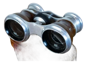 Swedish 20th Century Pair of Theater Binoculars With Leather Case
