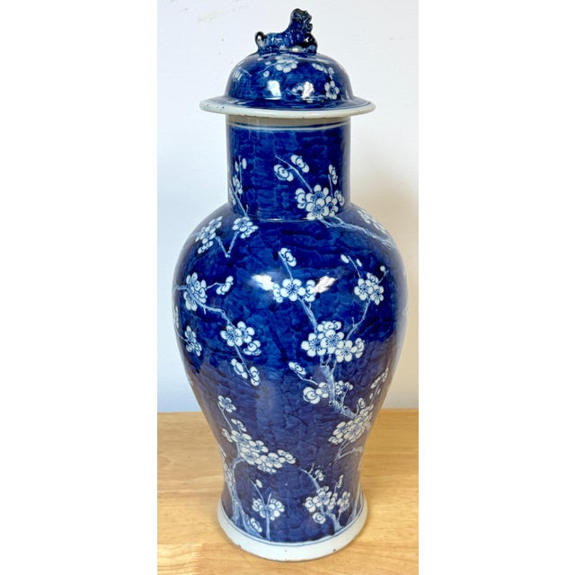Chinese Blue & White 'Prunus & Birds' Jar/Vase & Cover Earlier Qing Dynasty For Sale - Image 11 of 12