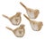 Floral Etched Bird Figurine with Wood Grain Design (Set of 4) For Sale