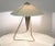 Czech Modernist Desk Lamp by Helena Frantova for Okolo, 1950s For Sale - Image 9 of 11