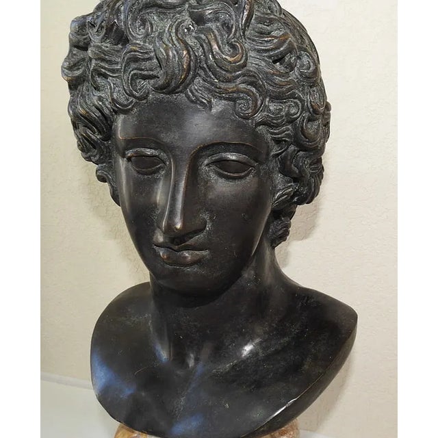 Grand Tour Grand Tour Style Patinated Bronze Benevento Head Bust on Giallo Siena Marble Base For Sale - Image 3 of 7