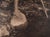 Photography "Spearing Salmon: Spokan", Sepia Photograph of Indigenous Spearfishing by Edward Sheriff Curtis For Sale - Image 7 of 10