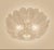 Mid-Century Modern Rare Murano Transparent Flower Ceiling Lamp | 24 Hand-Blown Glass Petals | Italian Lighting For Sale - Image 3 of 5