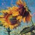 Busy Bees by Jeff Slemons | Pastel on sanded paper Sunflowers with bees around them For Sale
