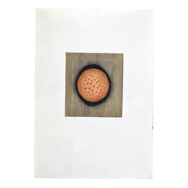 Arthur Luis Piza, Space in Circles, 1974, Engraving For Sale