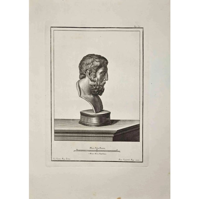 Profile of ancient roman bust, from the series "antiquities of herculaneum", is an original etching on paper realized by...