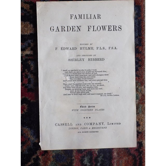 Pink Antique 19th Century Edward Hulme Botanical "Garden Flowers" Lithographs - Set of 12 - Super Price! For Sale - Image 8 of 9