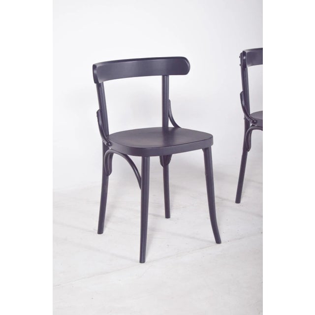 Vintage Black Lacquered Chair, 1950 For Sale - Image 9 of 10