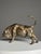 Pierre Chenet, Bull, Bronze For Sale - Image 13 of 18