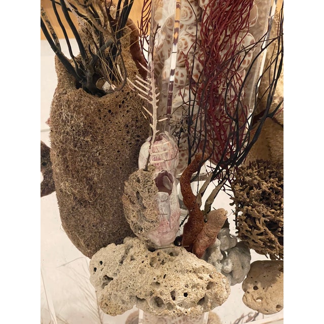 Vintage Grotto Sea World Sea Shells Floor Lamp For Sale - Image 10 of 11