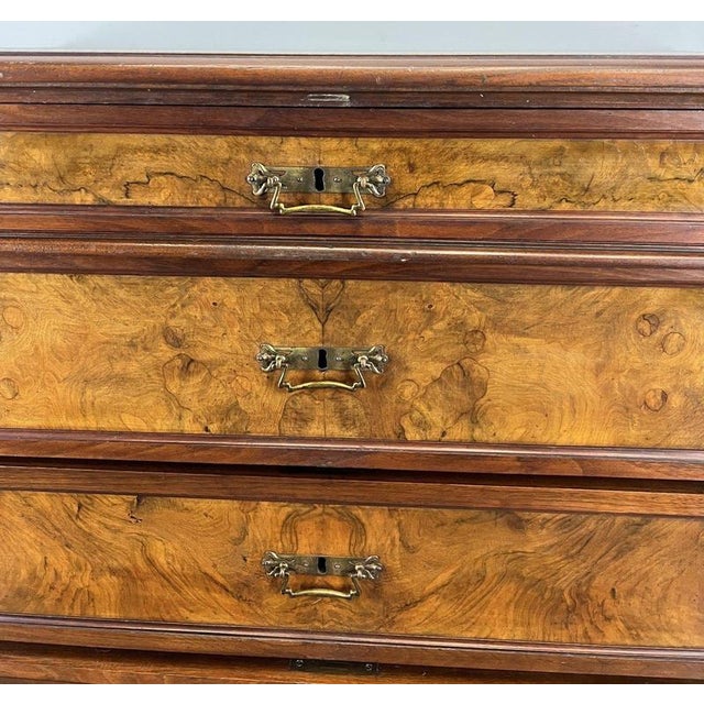 French Burr Chest of 4 Drawers For Sale - Image 9 of 16