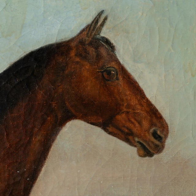 Hart of Oak Horse Portrait Painting, C.1870 For Sale In Savannah - Image 6 of 9