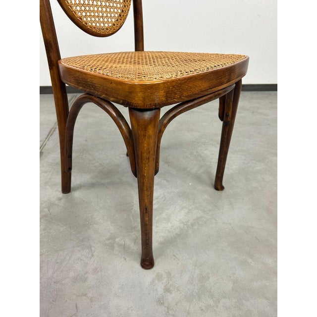 Wood Set of Chairs by Otto Prutscher for Café Heinrichshof, 1890s For Sale - Image 7 of 13
