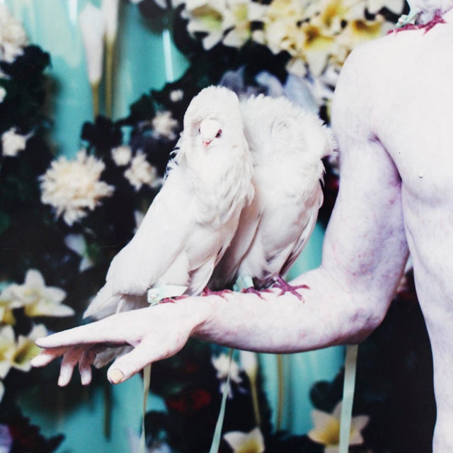 1990s Matthew Barney, Cremaster 5: Her Giant, 1997, C-Print, Framed For Sale - Image 5 of 10