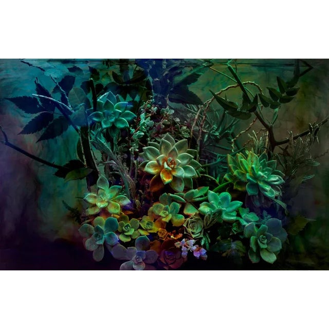 The Emerald Desert by Javiera Estrada Print, 40" x 62" For Sale