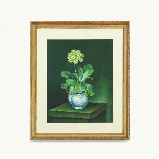 1980s Green and Yellow Auricula in Blue and White Bowl Gouache Painting by Jose Escofet For Sale - Image 9 of 9