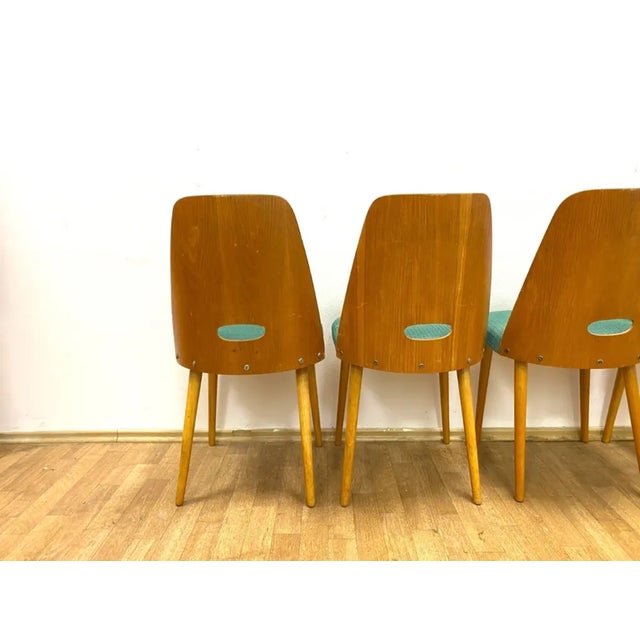 1960s Brussels Style Chairs, Czechoslovakia, 1964, Set of 4 For Sale - Image 5 of 11
