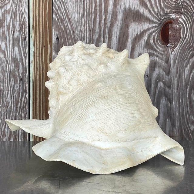 Bring a sense of coastal grandeur to your interior with this monumental decorative conch shell. Expertly crafted with a...
