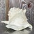 Bring a sense of coastal grandeur to your interior with this monumental decorative conch shell. Expertly crafted with a...