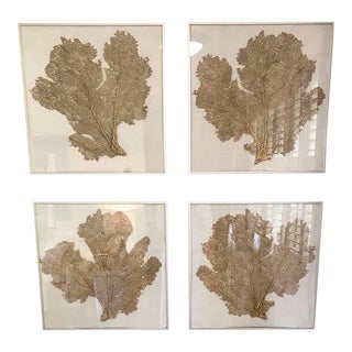 Framed Resin Sea Fans on Linen - Set of 4 For Sale