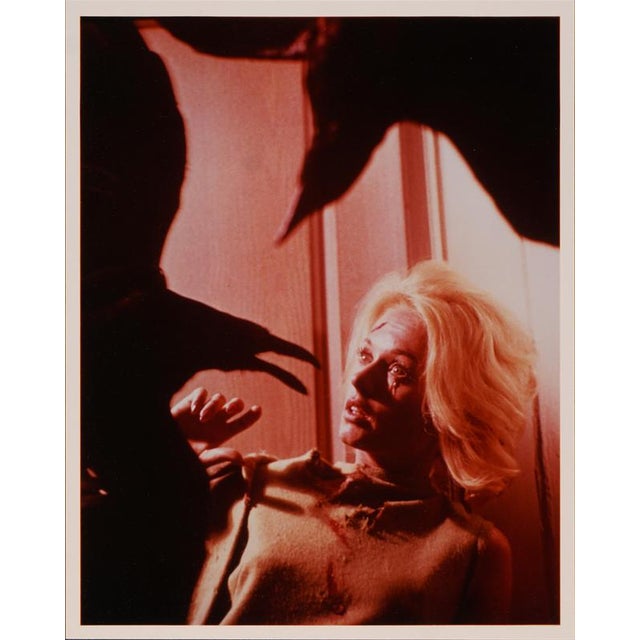 This vintage lobby card features a classic scene from Alfred Hitchcock’s The Birds (1963), the suspenseful thriller that...